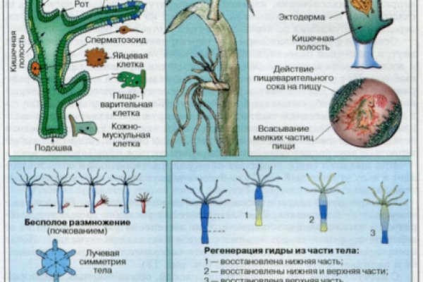 Кракен маркетплейс скачать
