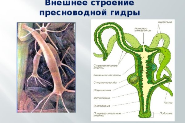 Актуальное зеркало на кракен