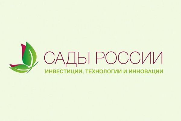 Kraken 13at сайт