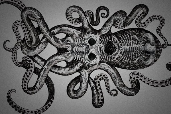 Kraken whitenet официальный сайт