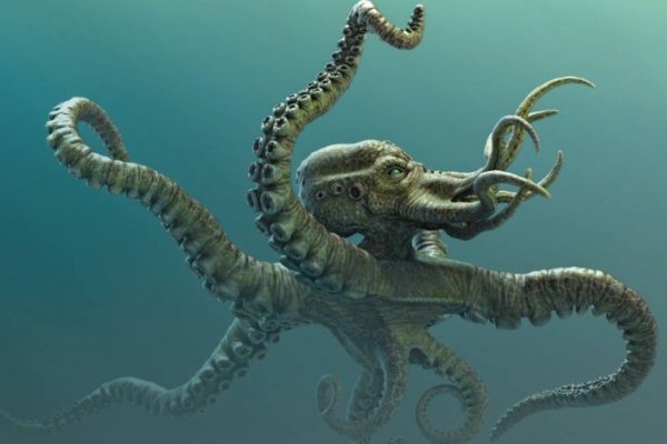 Кракен сайт магазин kraken clear com