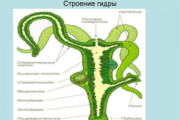 Кракен супернет плейс