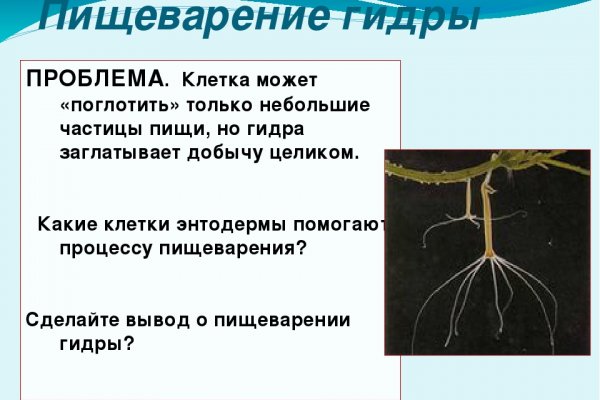 Clear ссылка на кракен