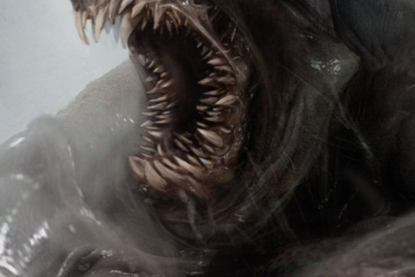 Kraken whitenet marketplace