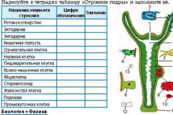 Купить счастье томск