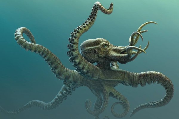 Kraken whitenet market ссылка тор